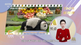 久久一区二区精品综合